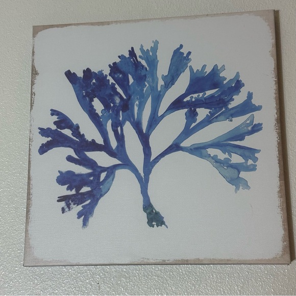 Set of Two Botanical Art Prints - Picture 12 of 15